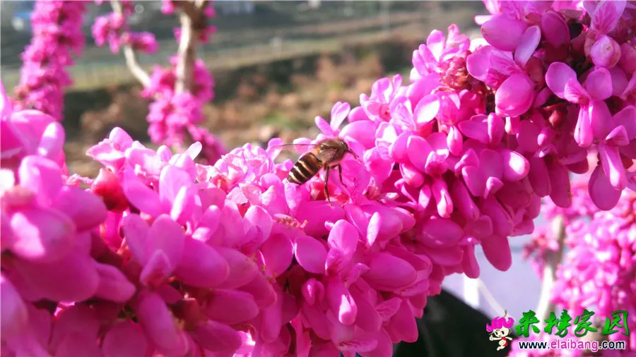 IMG_20160401_092622.webp