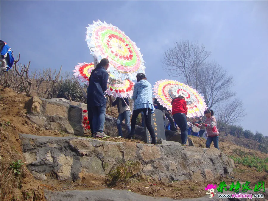 DSC06121.webp