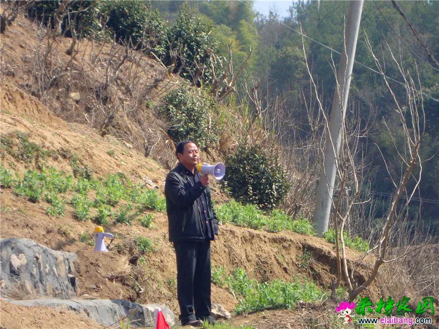 DSC06143.webp