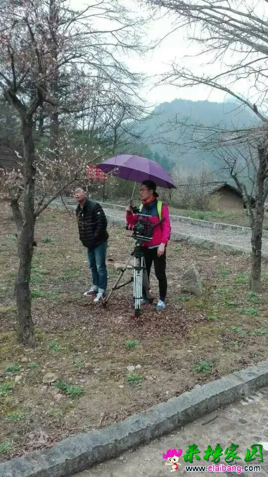 105939fyhy7nyh7ynhgcya.webp