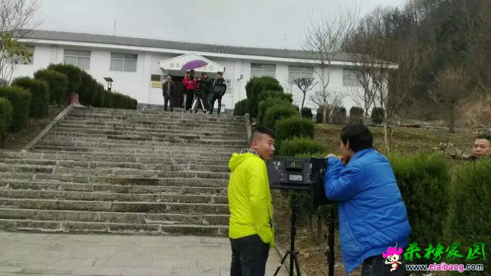 105939plinafzt9ls9jggi.webp