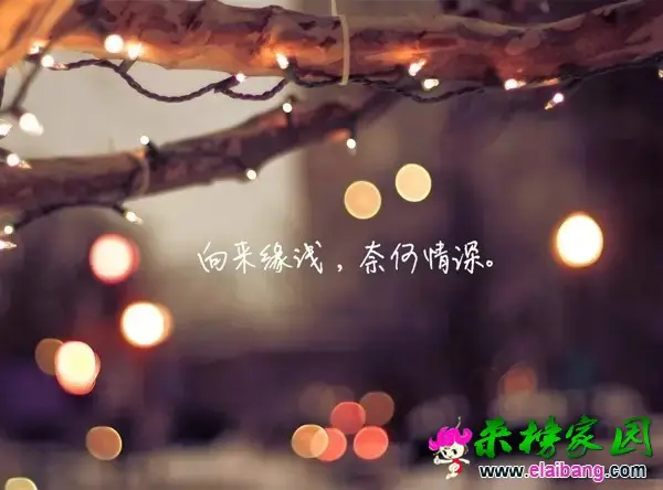 640.webp.webp