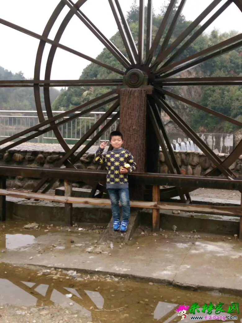 151052mii2dzxdqca998ci.webp
