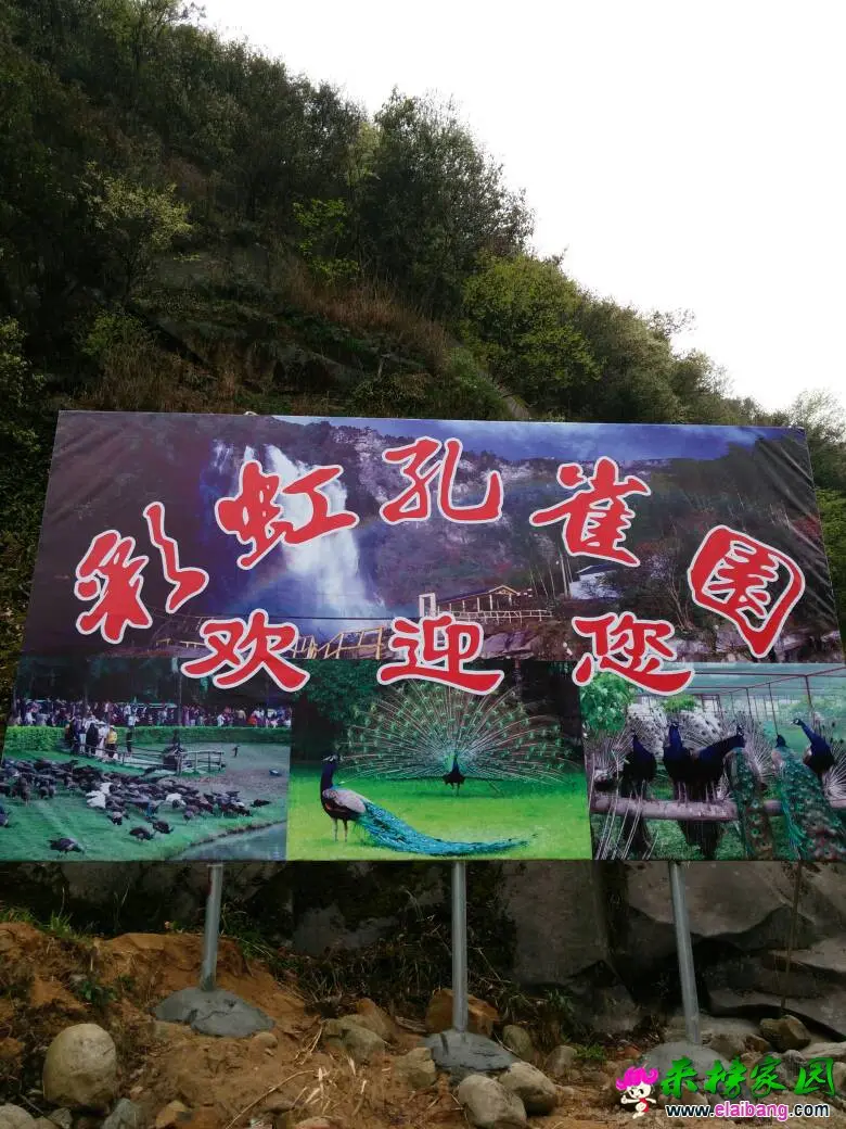 151248tw7276f7v2u27u7e.webp