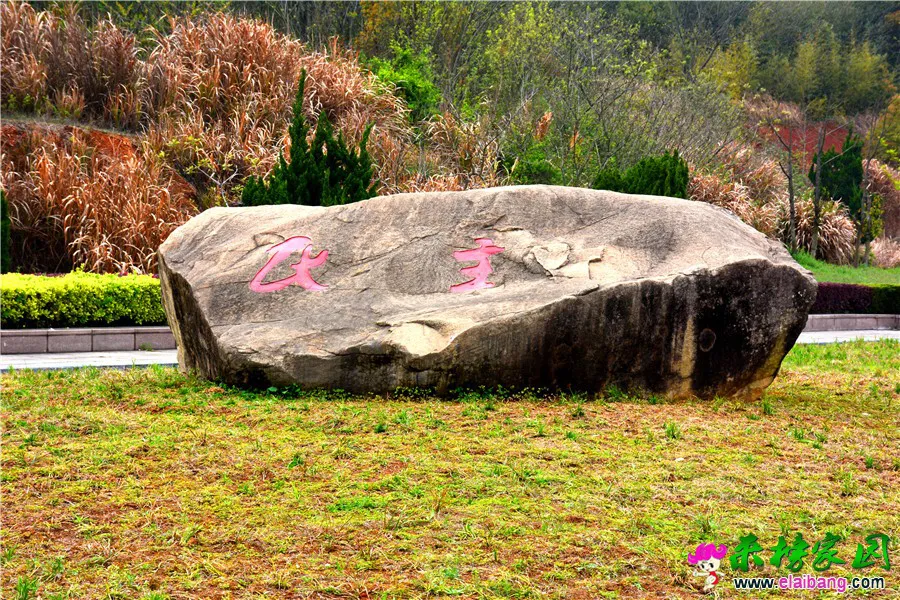 DSC_1424.webp