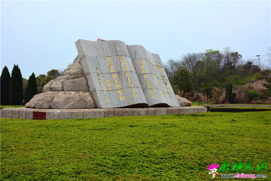 DSC_1430.webp