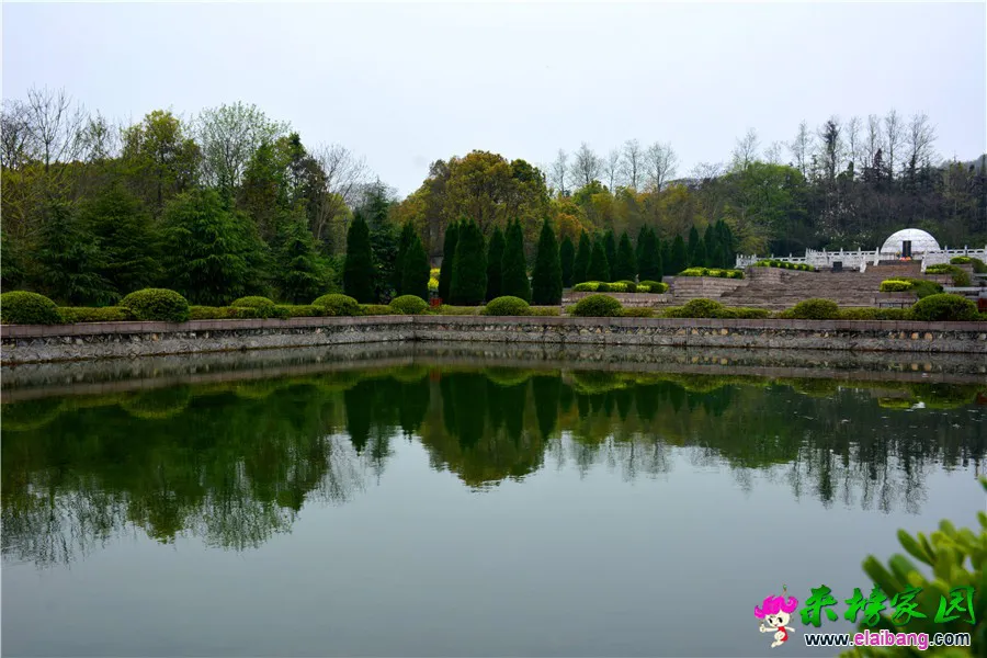 DSC_1431.webp