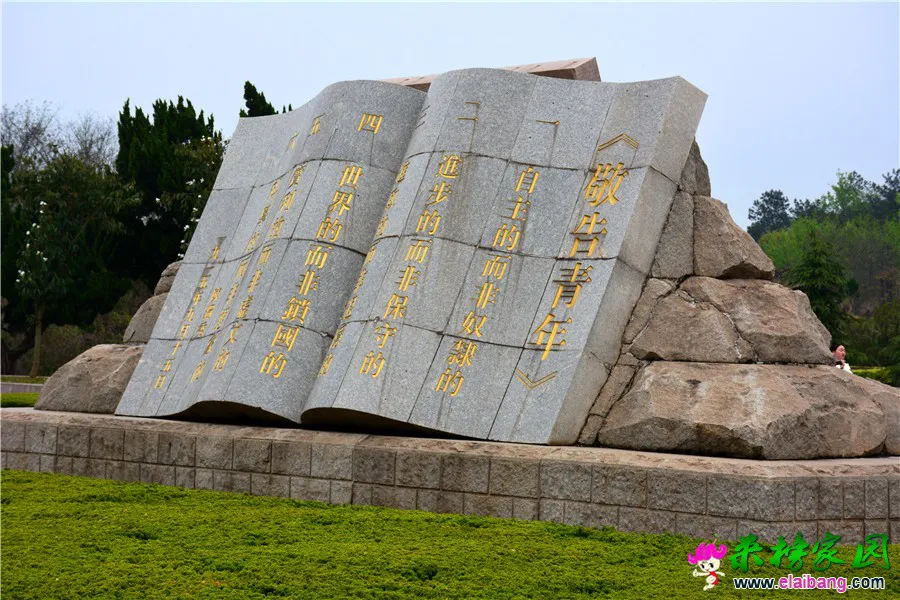 DSC_1439.webp