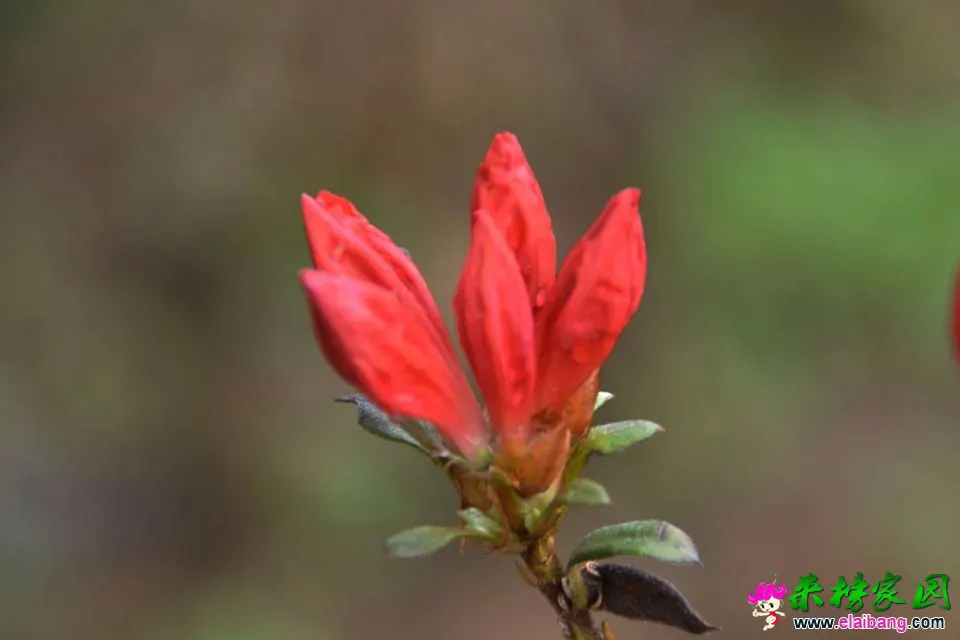 psb (67).webp