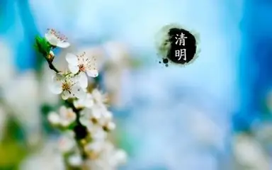 t015c262c4c6b0309af.webp
