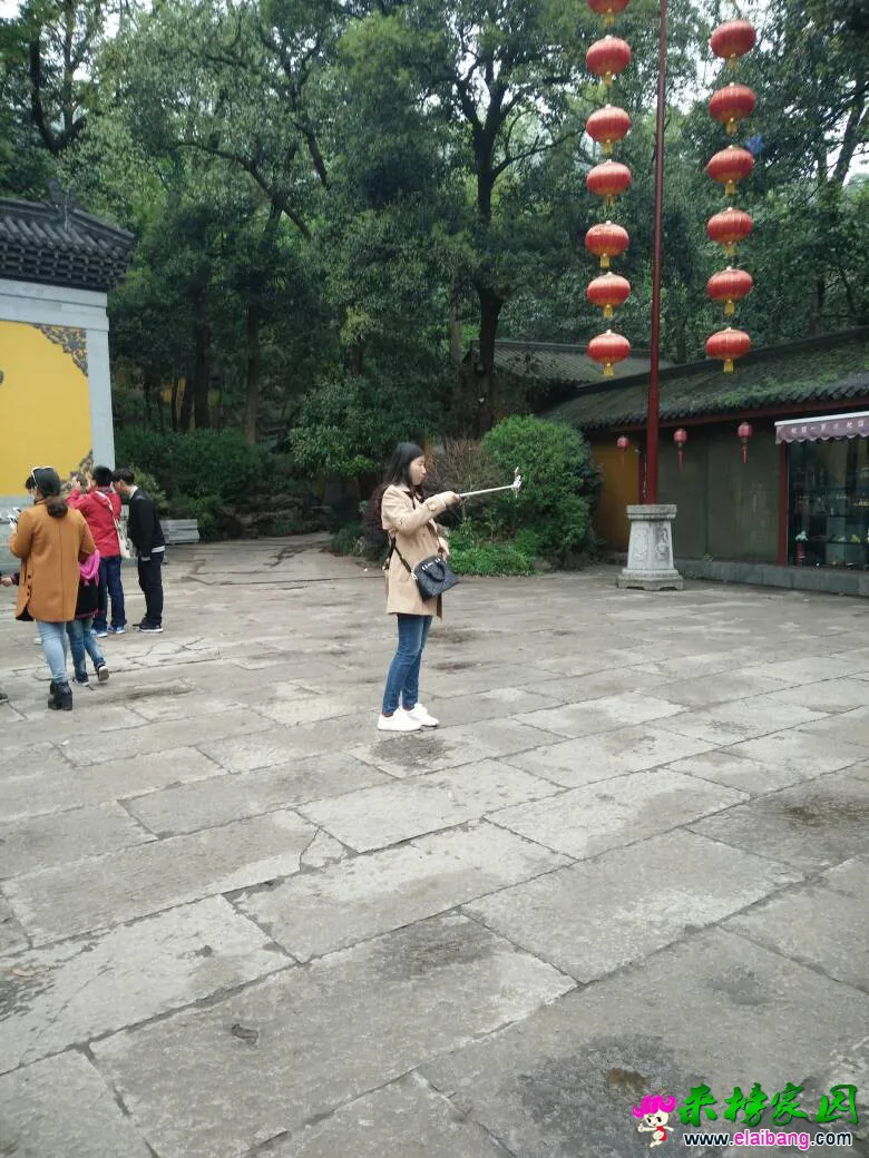 114401x2y5zn3kn5odm6i4.webp