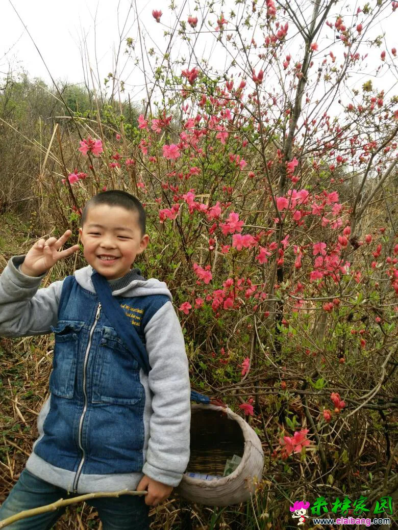 140506u9mrs9jm8m999z00.webp
