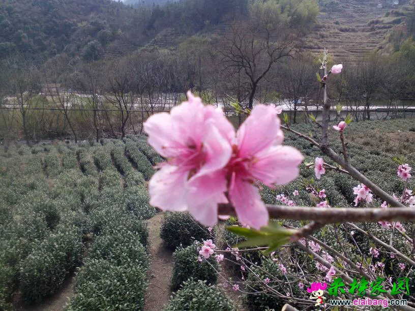 194550pjmqhn54nx5hv35h.webp