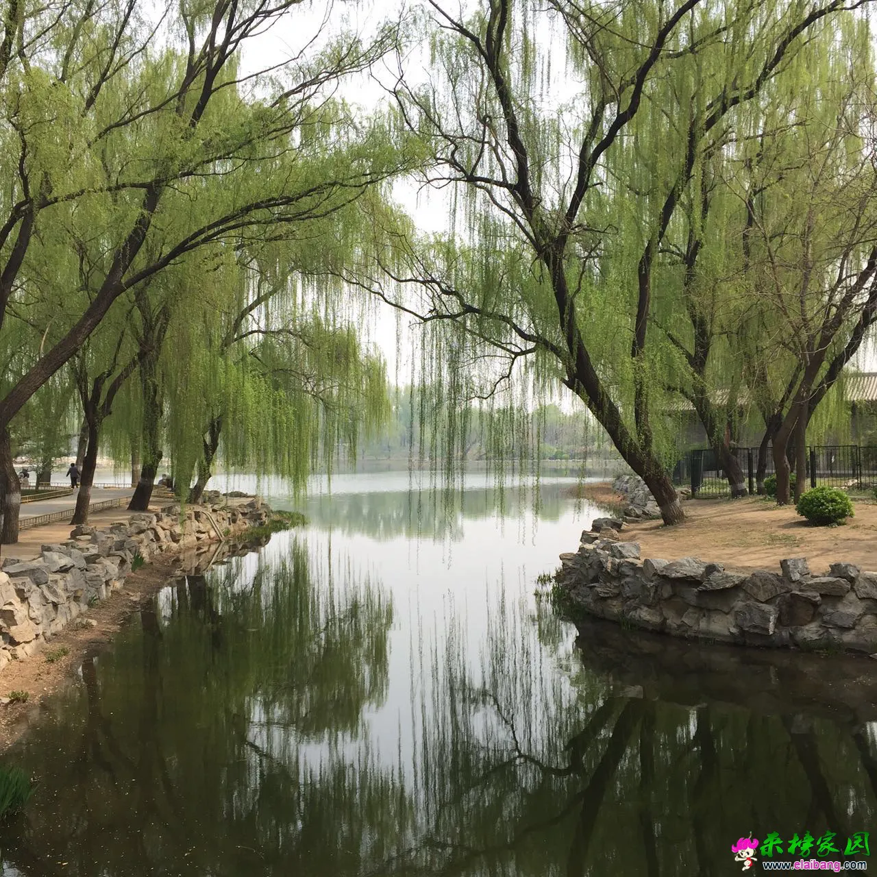 image.webp