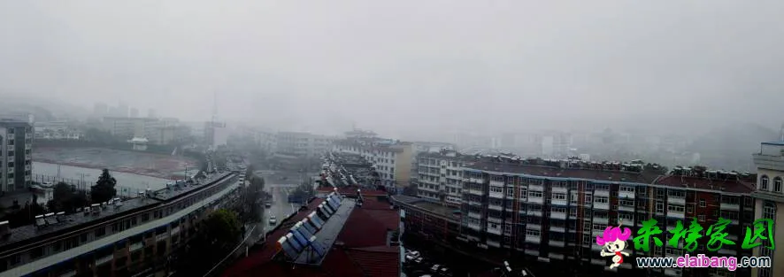 183729gypjzwlhlwdhl11l.webp
