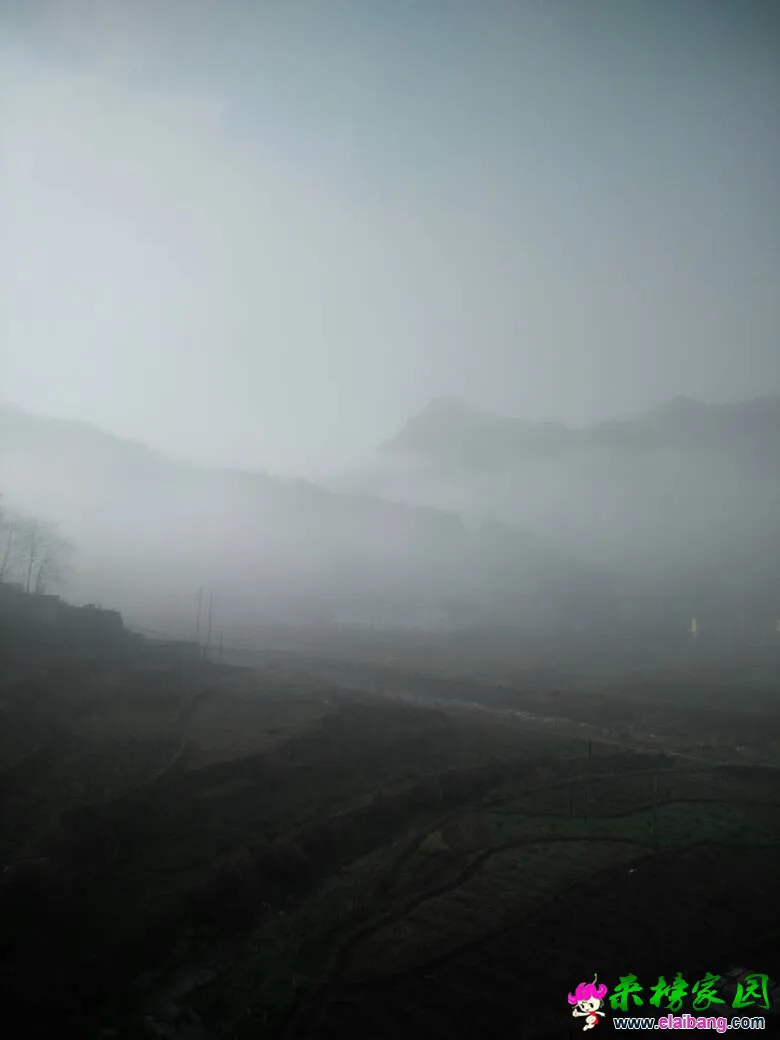 111409w2ctqctrctocdyxy.webp