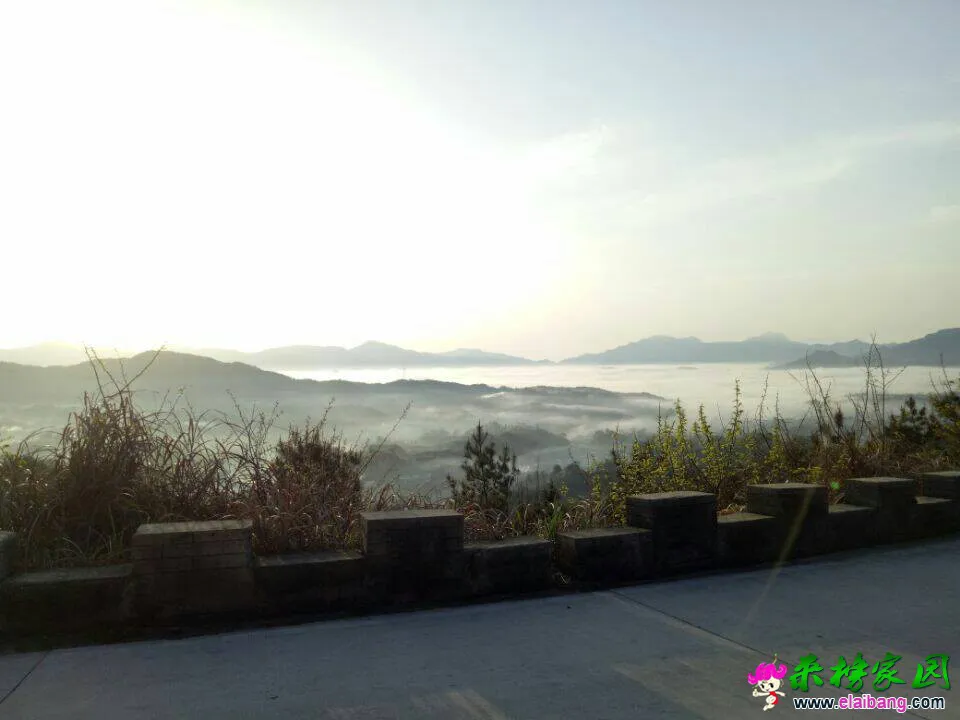 120957a9rs9bsbn3093b99.webp