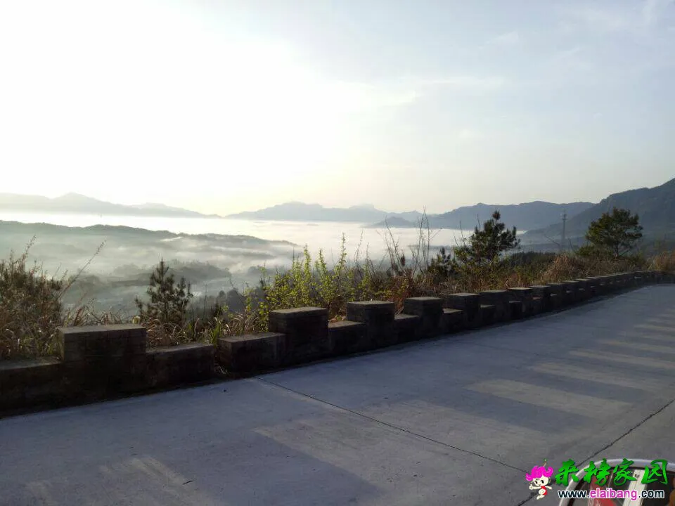 120958pkkx5yywkktwxxcy.webp