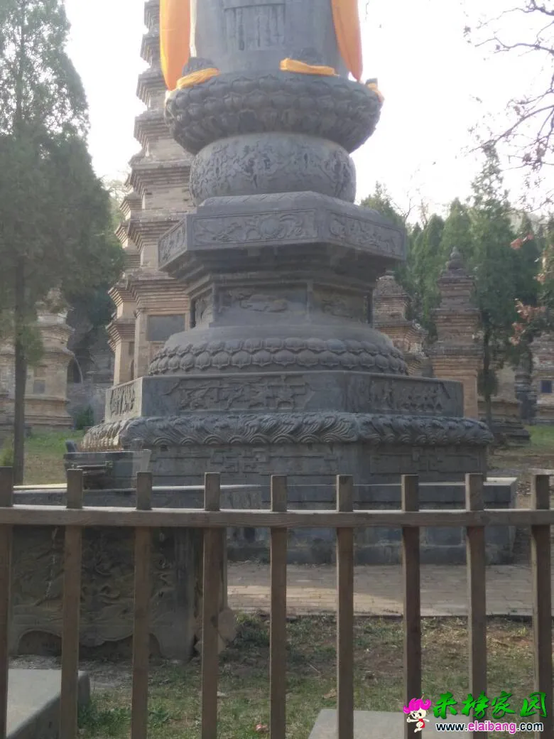 134949xjehc6h4hoehegj1.webp