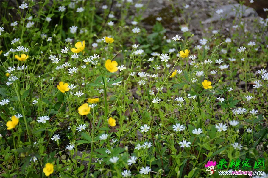 DSC_1797.webp