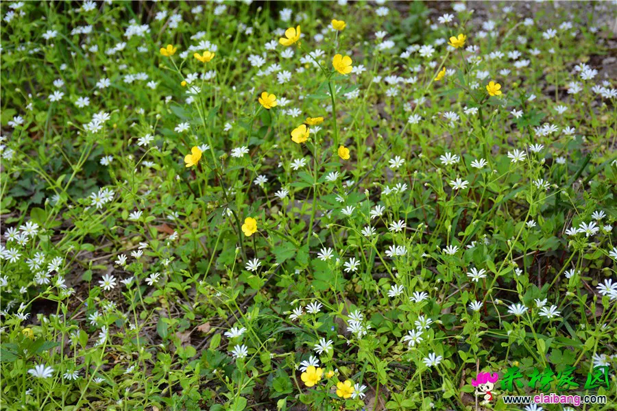 DSC_1799.webp