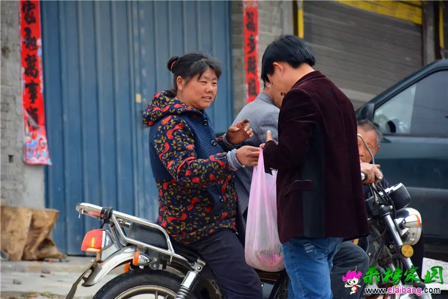 DSC_1808.webp