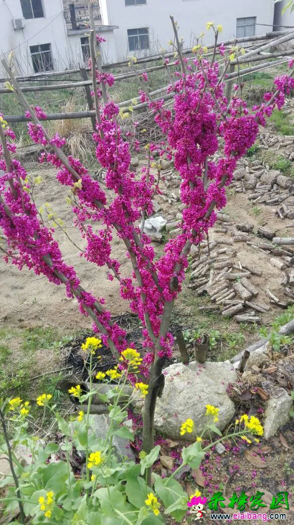 120430kb940t09fo6qqg64.webp