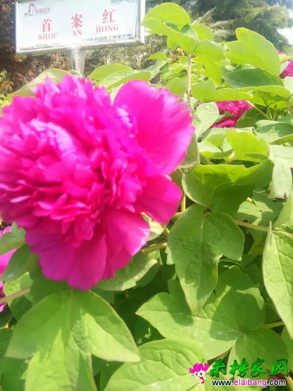 204341o56hkj2lk5ji4ogh.webp