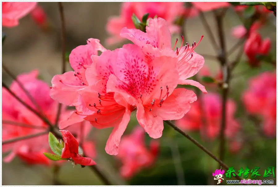 DSC_1843.webp