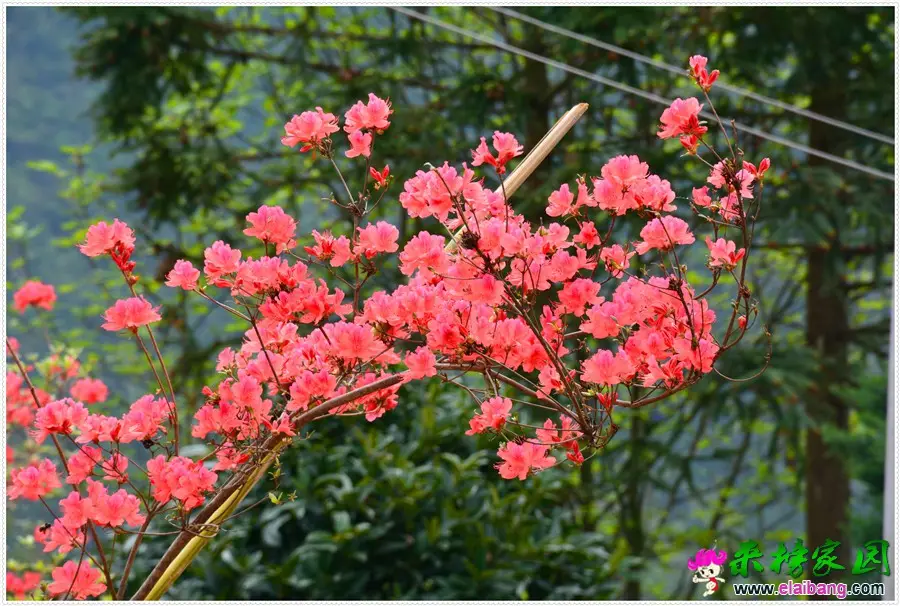 DSC_1844.webp