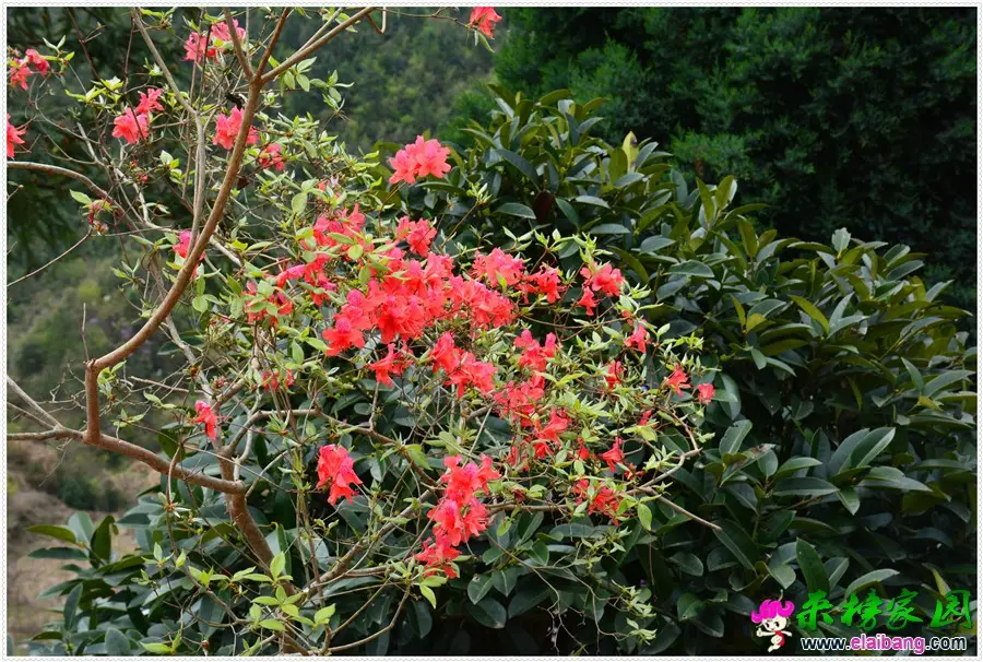 DSC_1853.webp