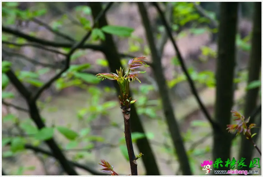 DSC_1854.webp