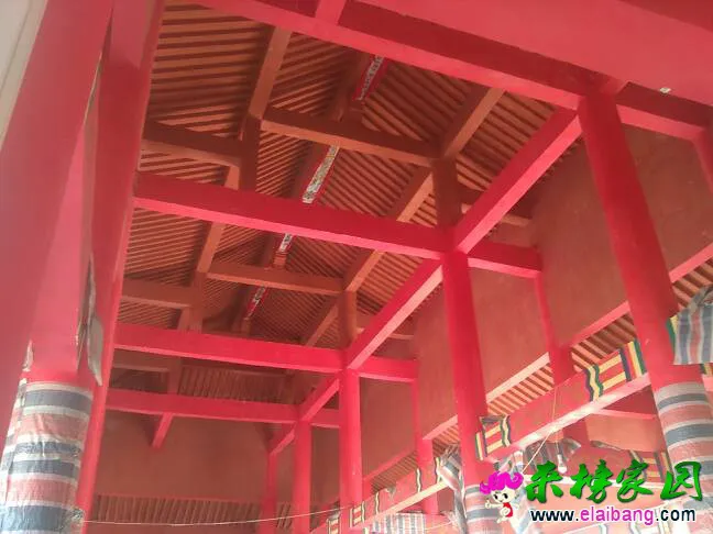125507x845thte194etb91.webp