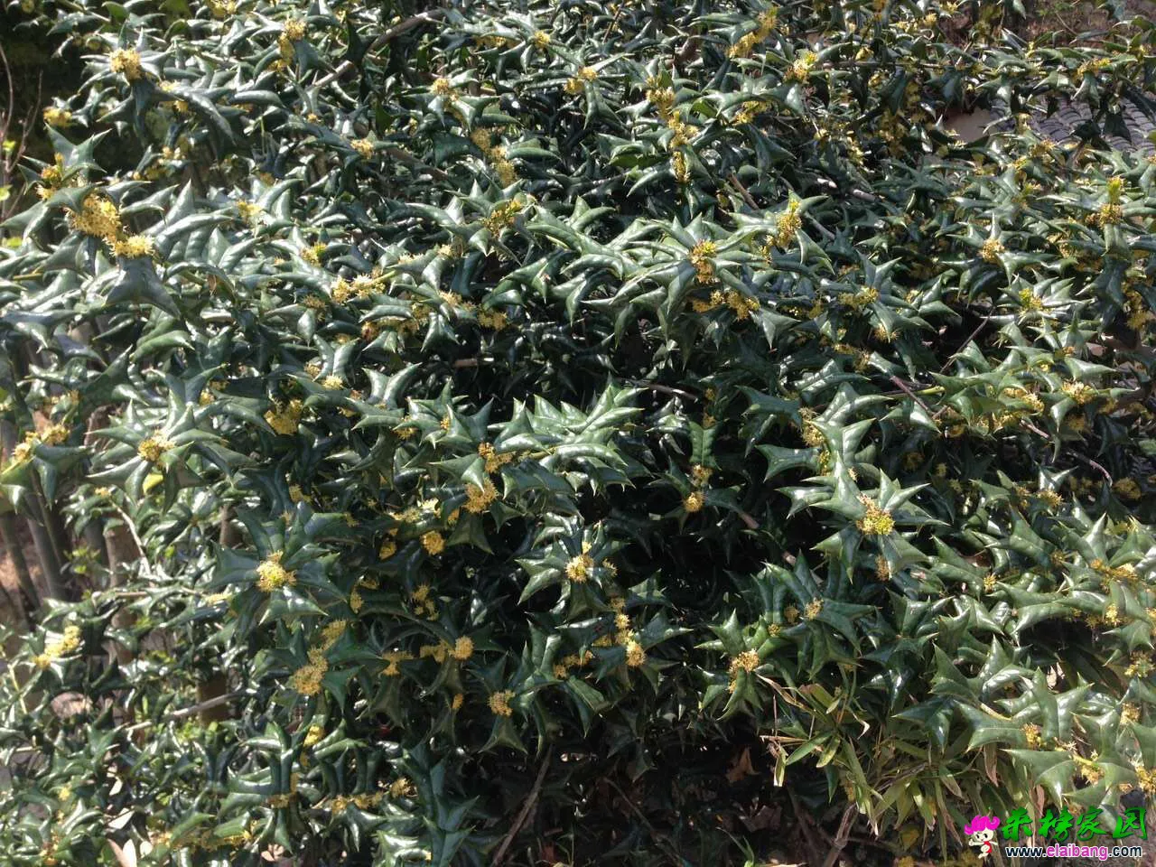 QQ图片20160413142923.webp