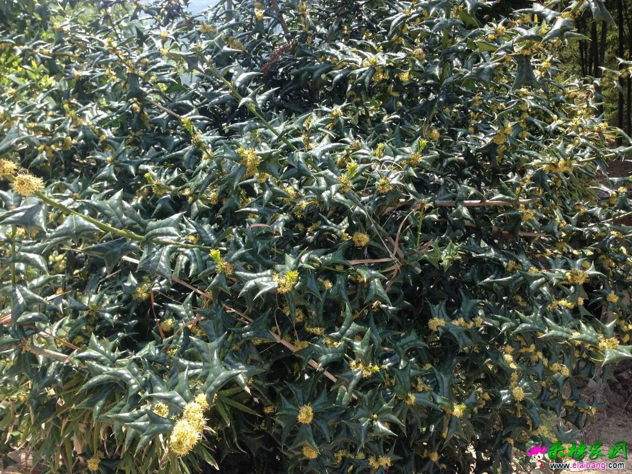 QQ图片20160413142919.webp