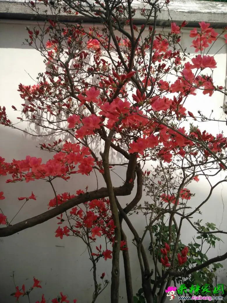124849gbod836z11736sd5.webp