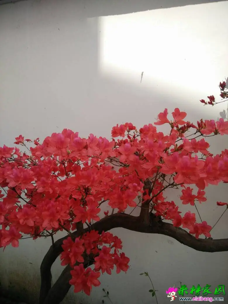 124849x3t995wu7995559u.webp