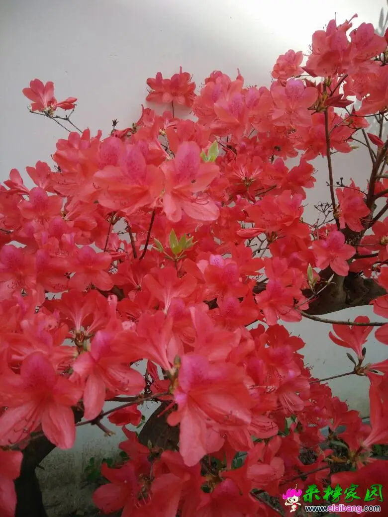 124850p32739rem7rs97oe.webp
