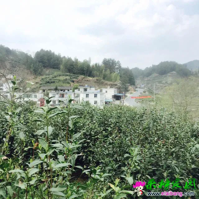 4840006ac6c10e687a7.webp