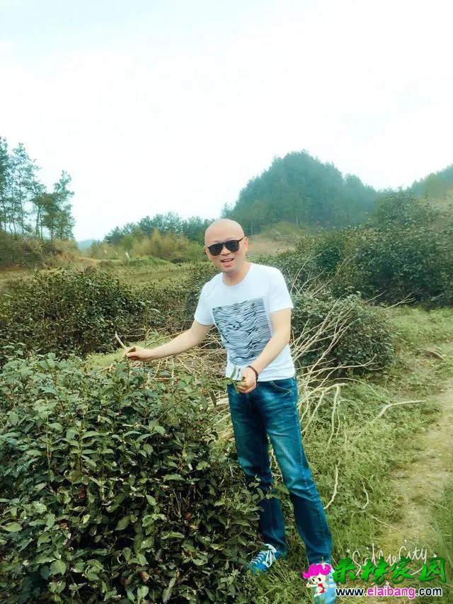 4870006b6a293e69364.webp
