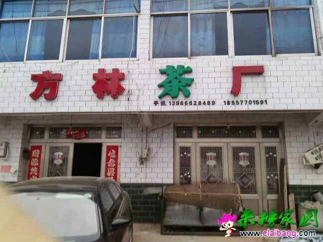 204244h7astkt6ak7st6ig.webp