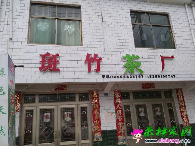 204244xape86wiy6p0uii0.webp