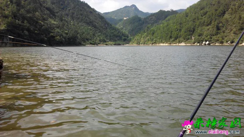 230822tiy70phr30rhsml0.webp