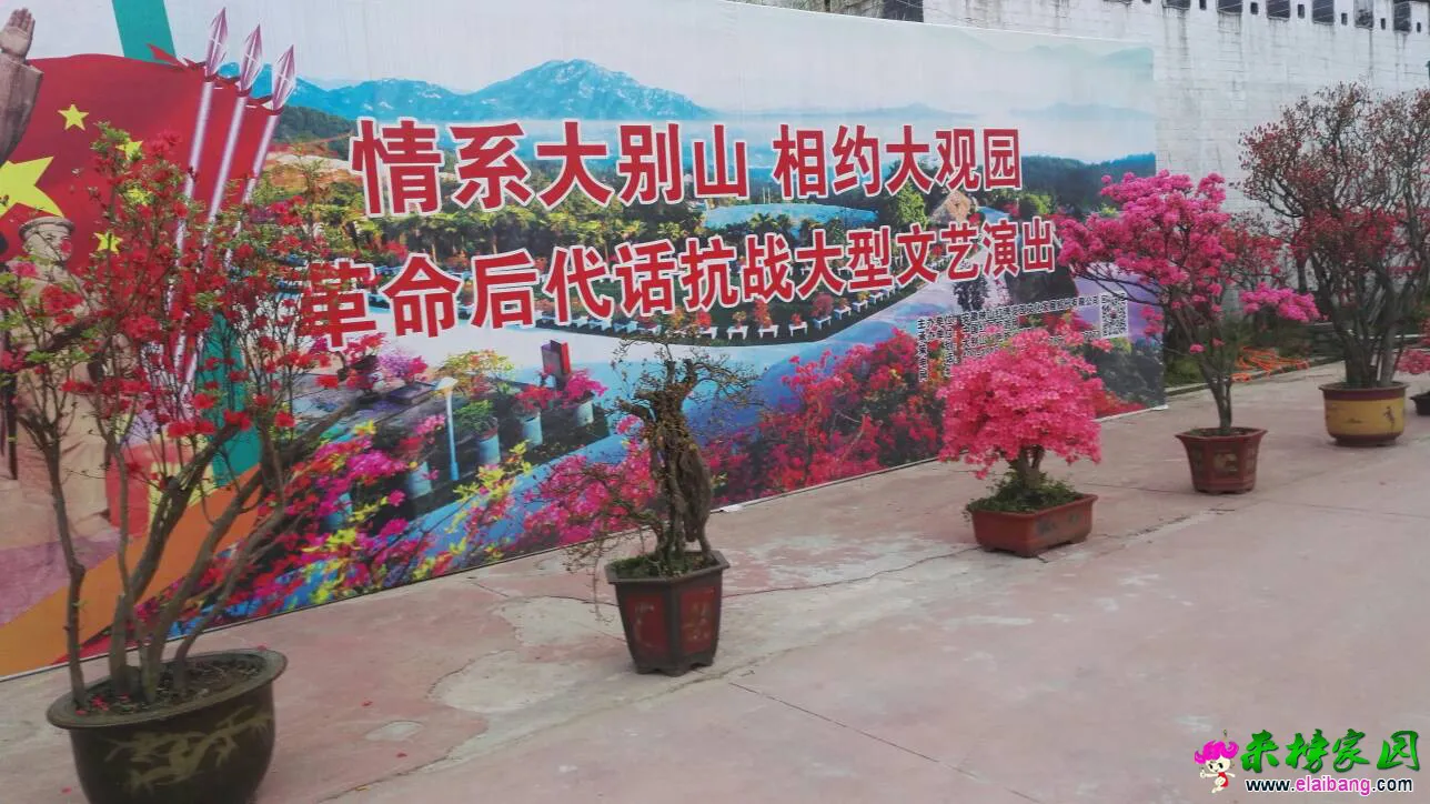 233131q6maf82dkaga26vu.webp