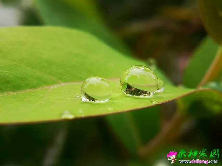 094400mmt7f4f76112tbp2.webp