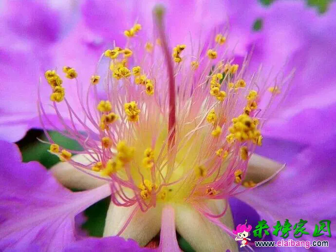 094400rjzb014pm2jwrf21.webp