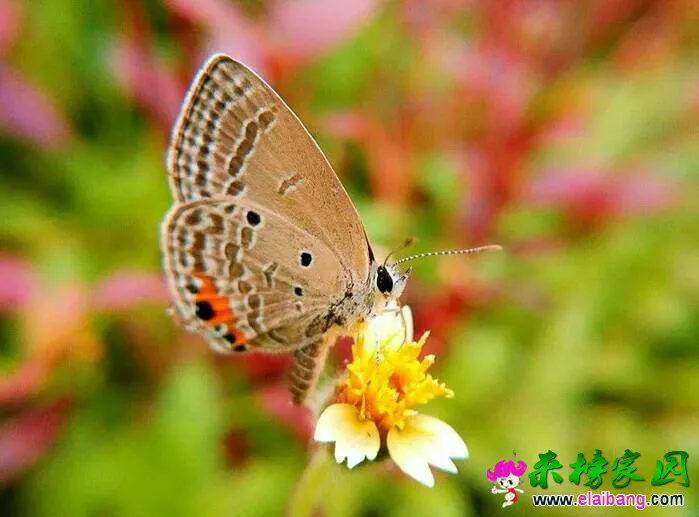 094401n2nzk2bkbo2ywg02.webp