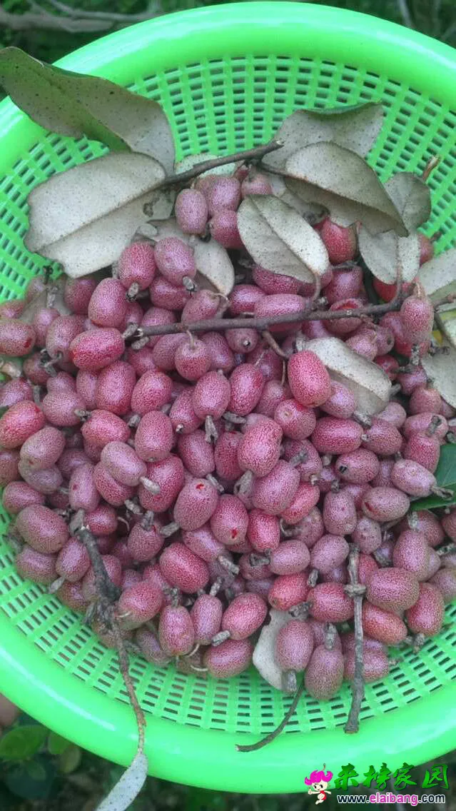 162908jxrzj5rxfolxmmpx.webp