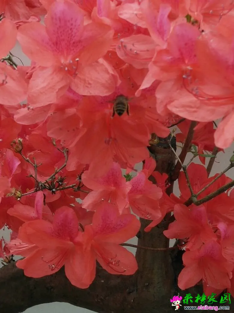 162909cwq6v935rwoj64rr.webp