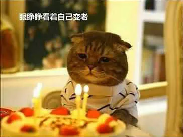 2.webp